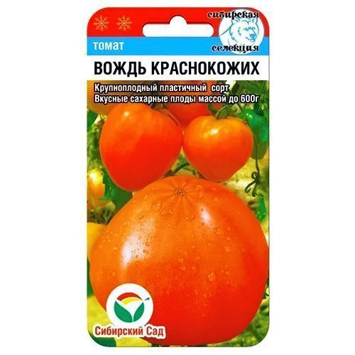 ������ ������ ����� ����� ����������� ��������� ���   ����