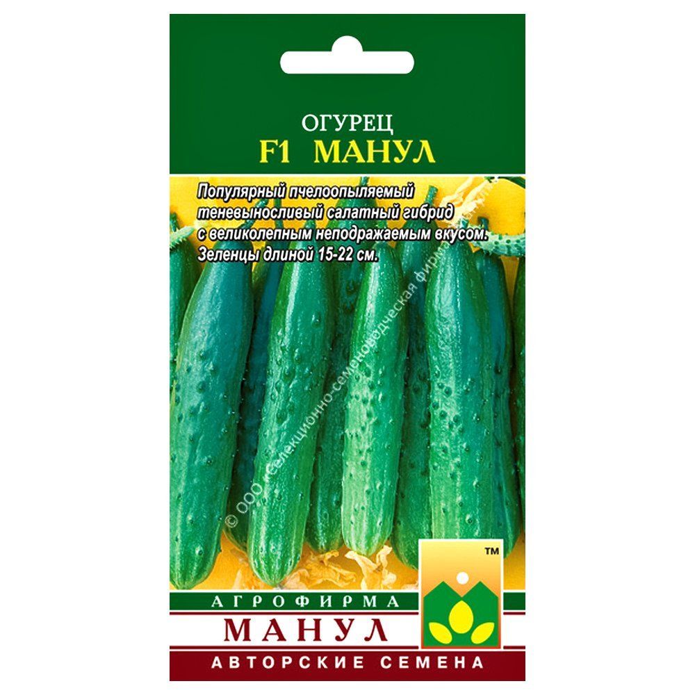 ������ ������ ������ ����� F1 �����   ����