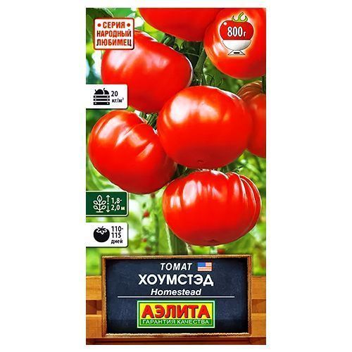 ������ ������ ����� �������� ������   ����