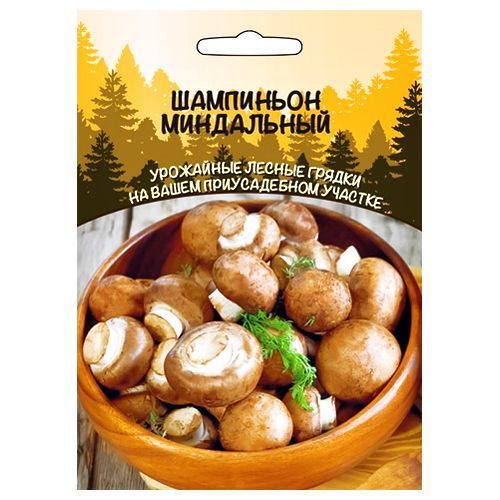 ������ ������ ��������� ���������� ��������� ������   ����