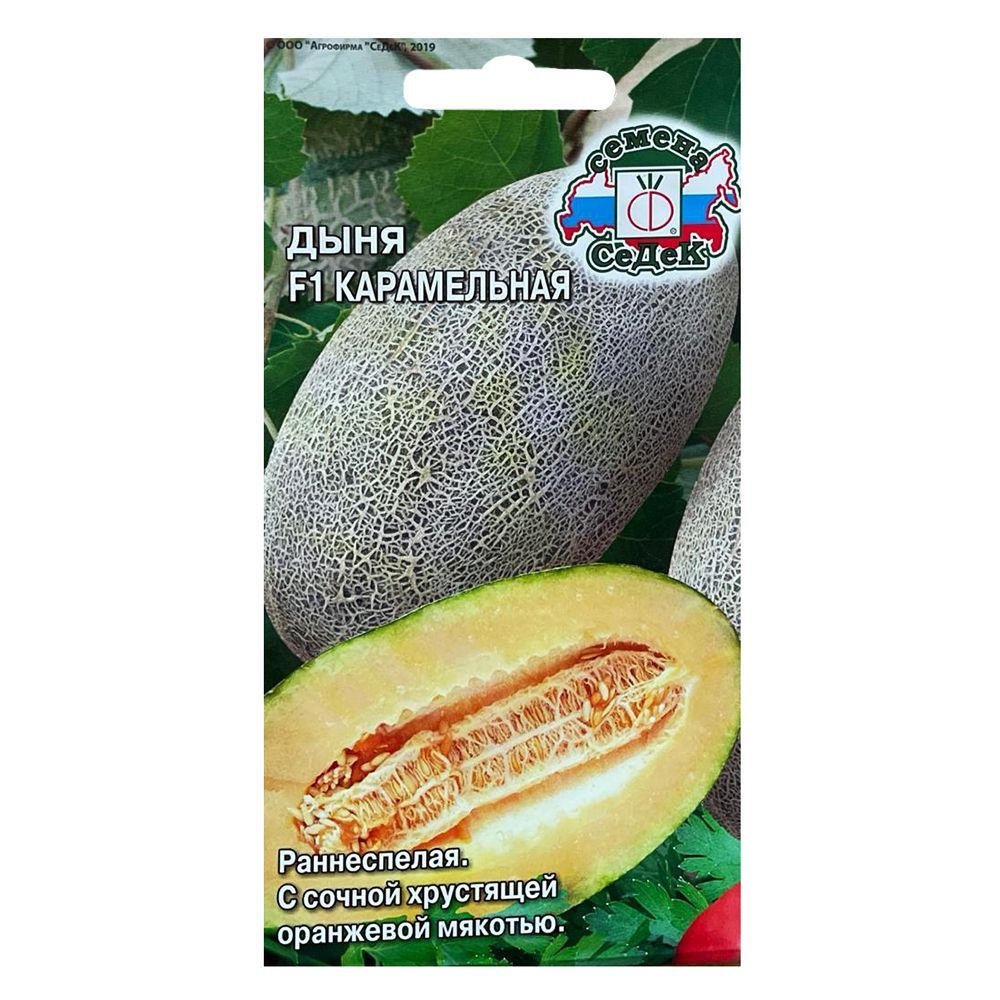 ������ ������ ���� ����������� F1 �����   ����