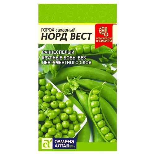 ������ ������ ����� ���� ���� ������ �����   ����