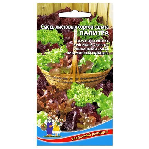 ������ ������ ����� �������, ����� ������ ��������� ������   ����