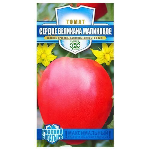 ������ ������ ����� ������ �������� ��������� ������   ����