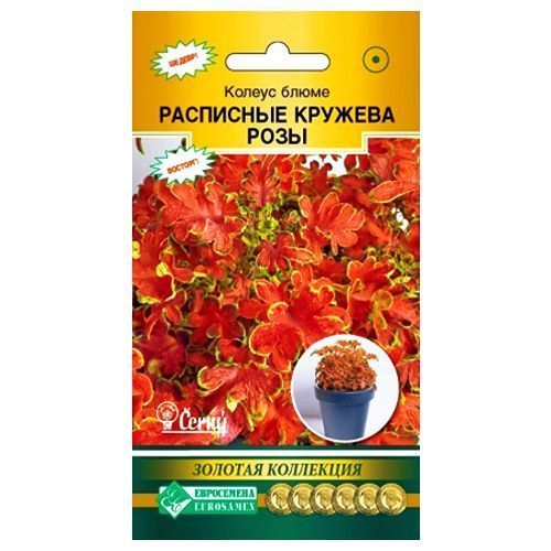 ������ ������ ������ ����� ��������� ������� ���� ����������   ����