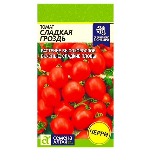 ������ ������ ����� ������� ������ ������ �����   ����