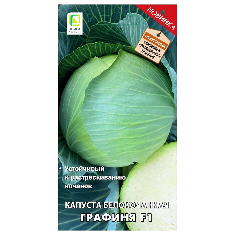 ������ ������ ������� ������������ ������� F1 �����   ����