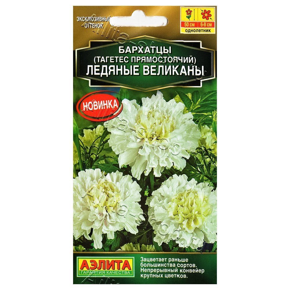 ������ ������ �������� ������������ ������� �������� ������   ����