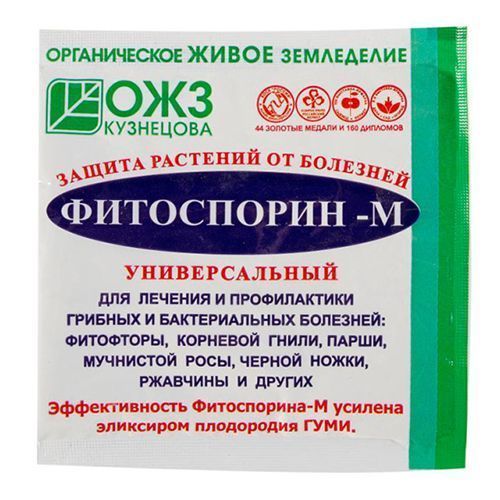 ������ ������ ����������-�, �� �������� �������� 10 �   ����