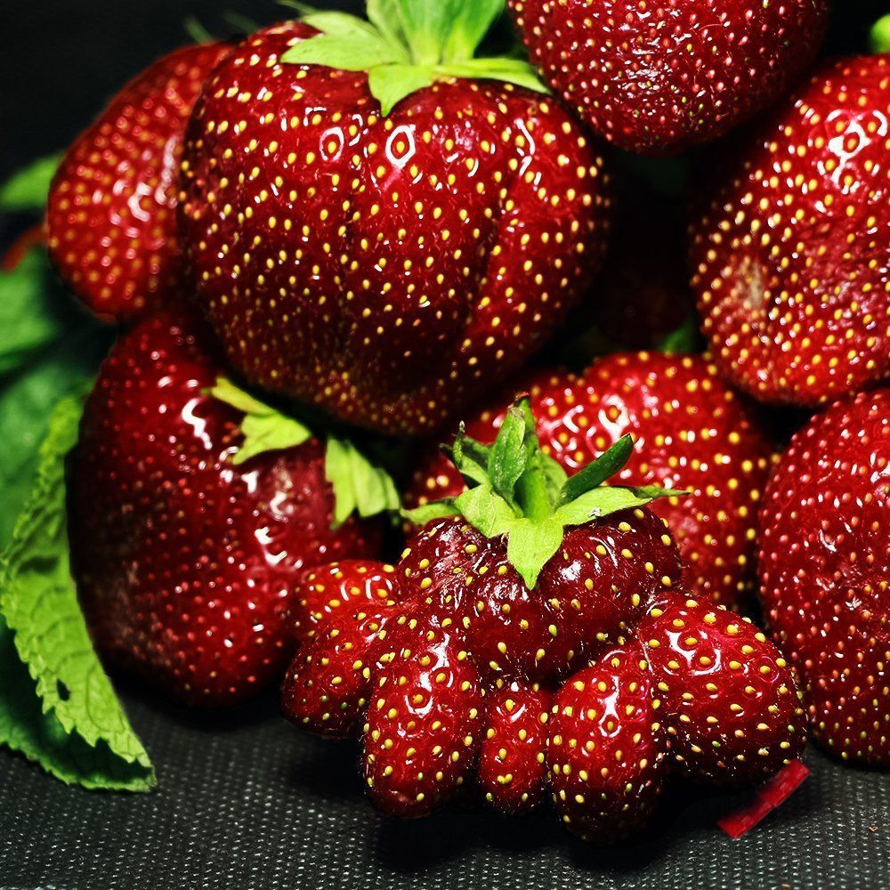 ������ ������ ��������� ������������� ���� ���� (������ ������)   ����