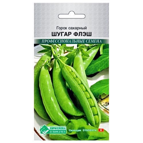 ������ ������ ����� ����� ���� ����������   ����