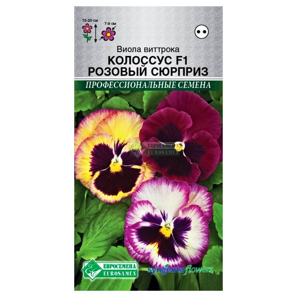 ������ ������ ����� �������� �������� ������� ������� F1, ����� ������� ����������   ����