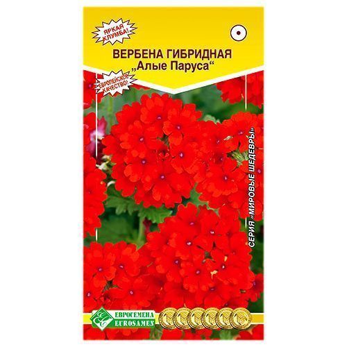 ������ ������ ������� ���� ������ F1 ����������   ����