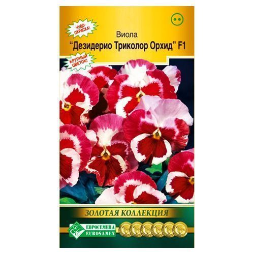 ������ ������ ����� �������� ��������� �������� ����� F1 ����������   ����