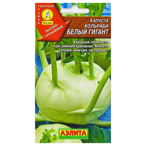 ������ ������ ������� �������� ����� ������ ������   ����