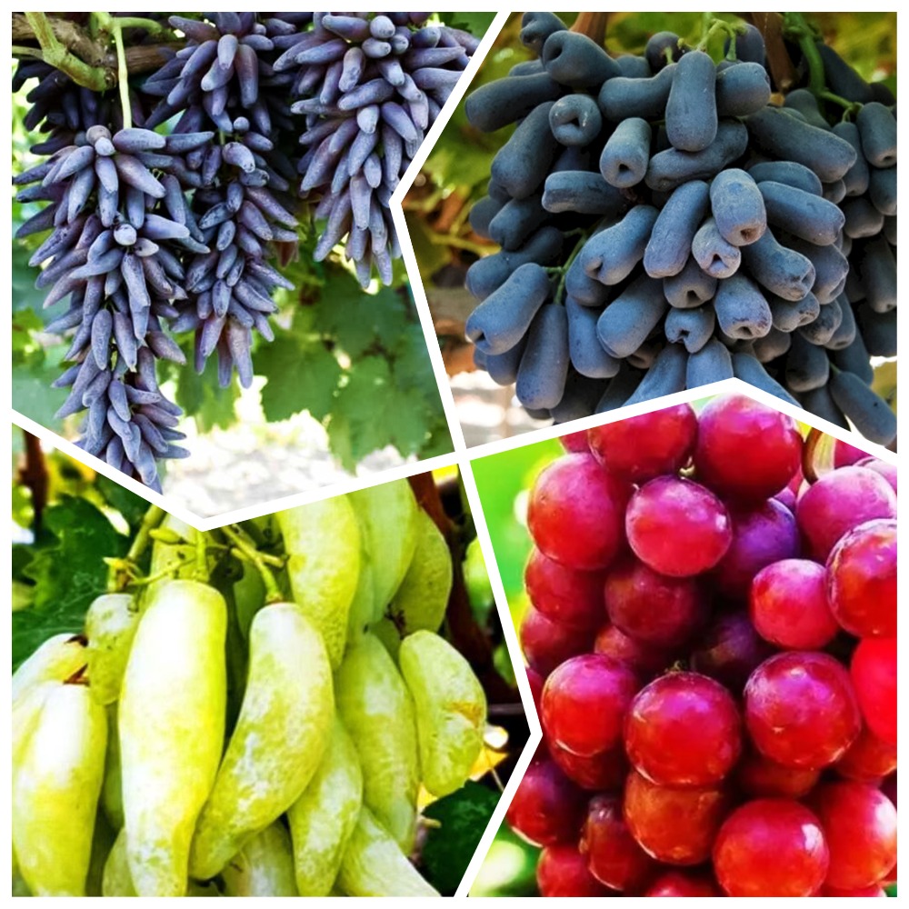 ������ ������ �����������! �������� ������������� ��������� 