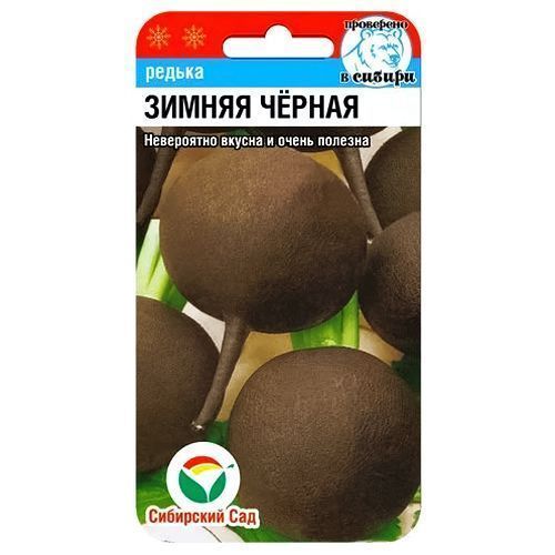 ������ ������ ������ ������ ������ ��������� ���   ����