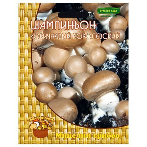 ������ ������ ��������� ���������� ����������� �����   ����