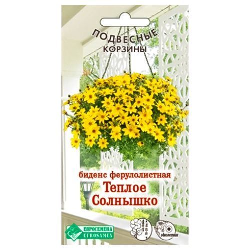 ������ ������ ������ ������������� ������ �������� ����������   ����