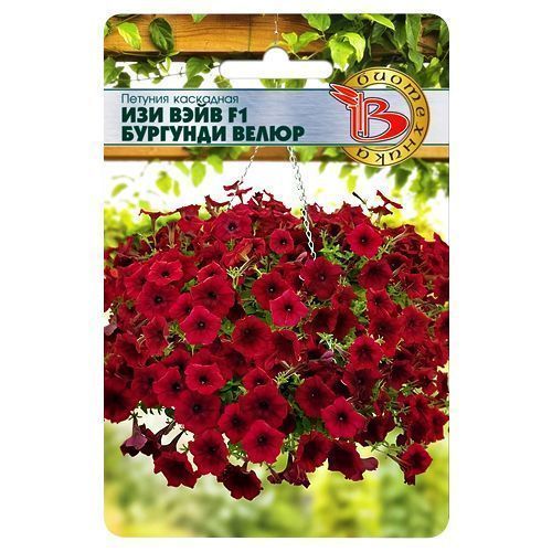 ������ ������ ������� ��������� ��� ���� �������� ����� F1 ����������   ����