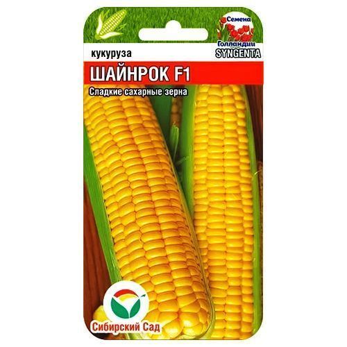 ������ ������ �������� ������� F1 ��������� ���   ����