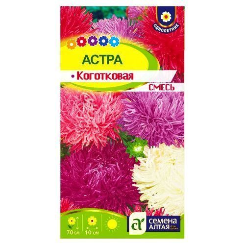 ������ ������ ����� ����������, ����� ������� ������ �����   ����