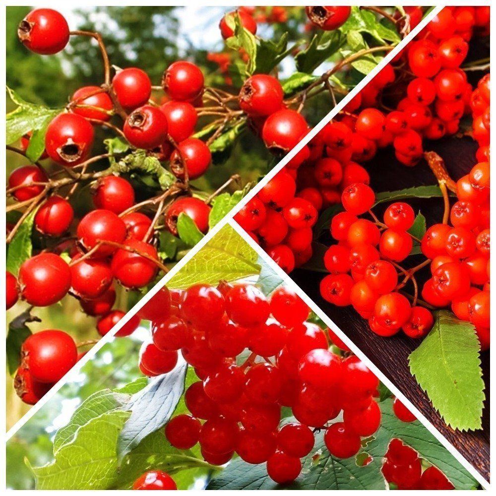 ������ ������ �����������! �������� 