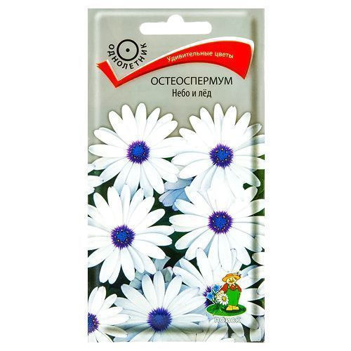 ������ ������ ������������ ���� � ��� �����   ����