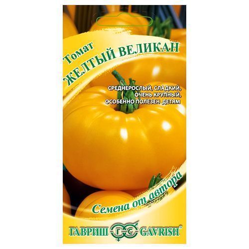 ������ ������ ����� ������ ������� ������   ����