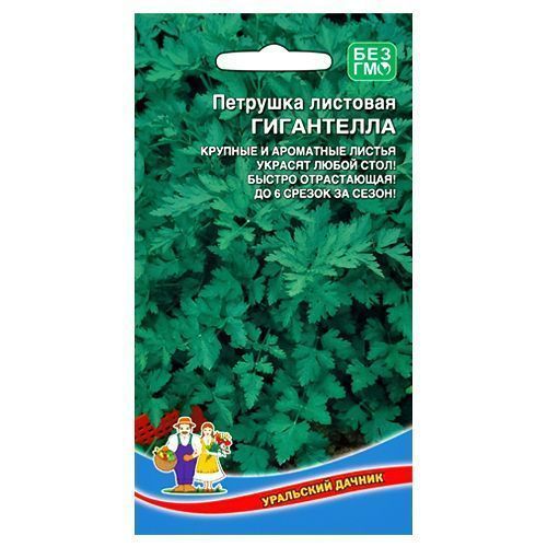 ������ ������ �������� �������� ���������� ��������� ������   ����