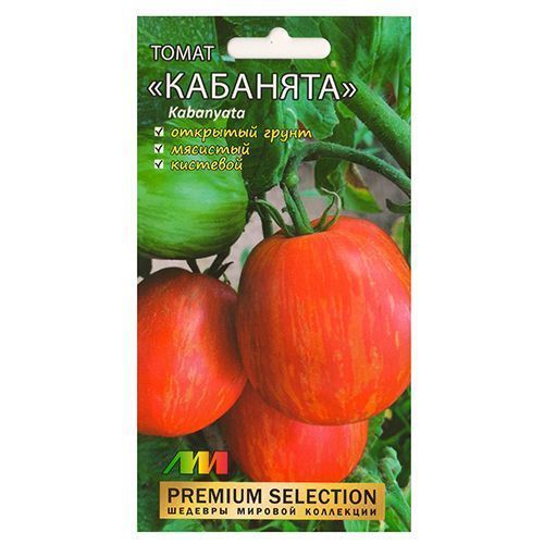 ������ ������ ����� �������� ����������� ������ �.�.   ����