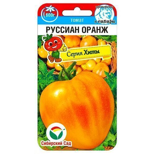 ������ ������ ����� ������� ����� ��������� ���   ����