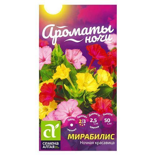 ������ ������ ��������� ������ ��������� ������ �����   ����