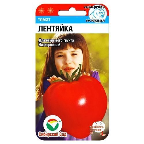 ������ ������ ����� �������� ��������� ���   ����