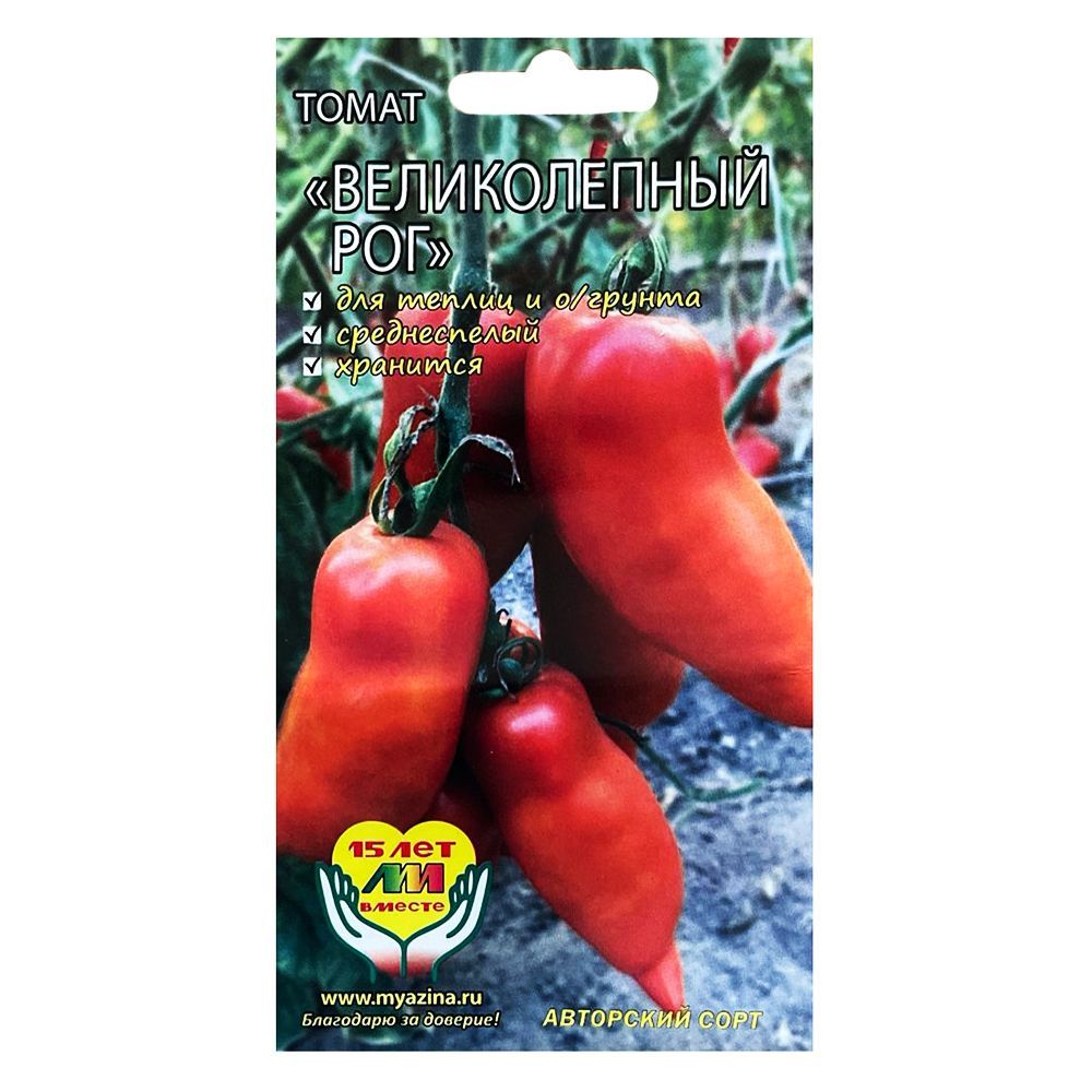 ������ ������ ����� ������������ ��� ����������� ������ �.�.   ����