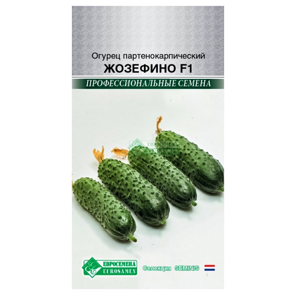 ������ ������ ������ �������� F1 ����������   ����