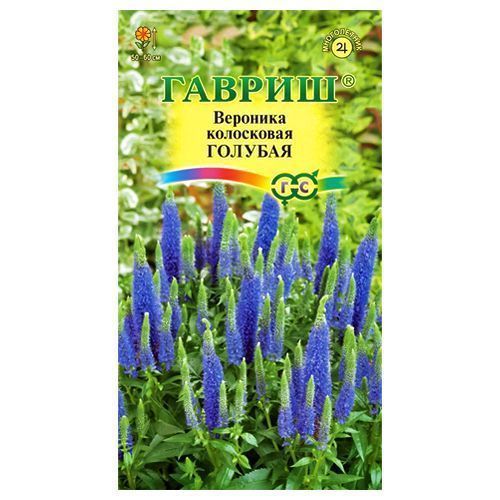 ������ ������ �������� ������� ������   ����