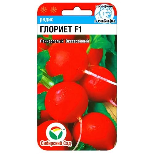 ������ ������ ����� ������� F1 ��������� ���   ����