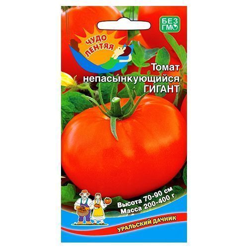 ������ ������ ����� ��������������� ������ ��������� ������   ����