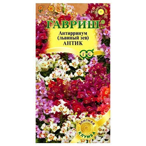 ������ ������ ���������� �����, ����� ������� ������   ����