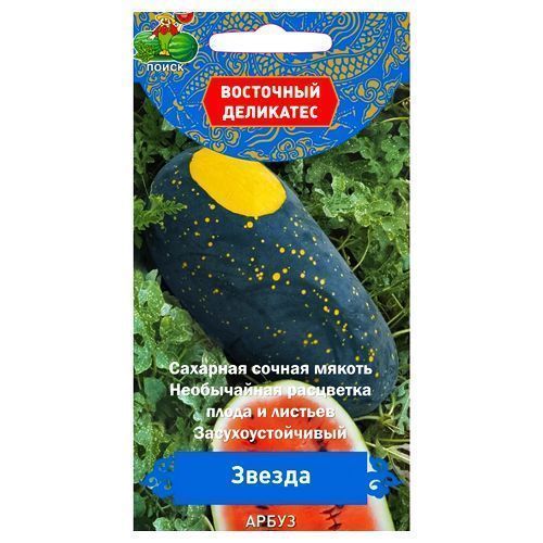 ������ ������ ����� ������ �����   ����