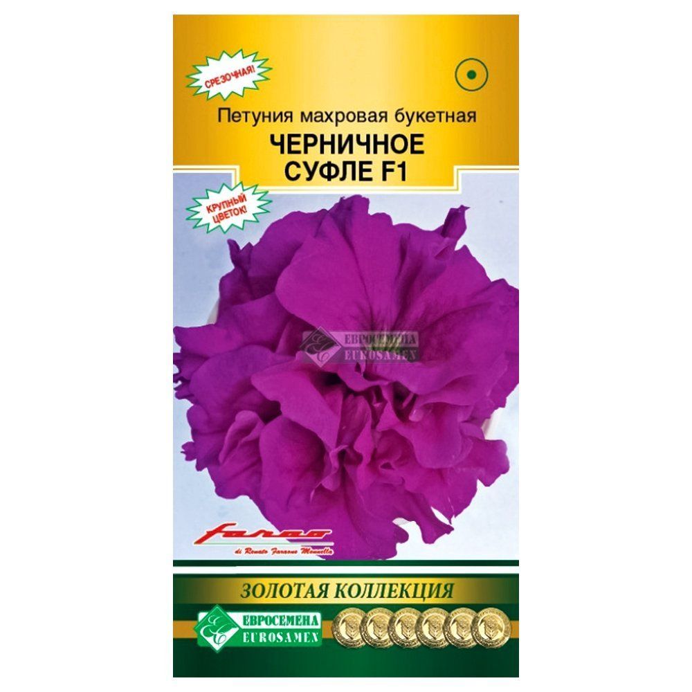 ������ ������ ������� �������� �������� ��������� ����� F1 ����������   ����