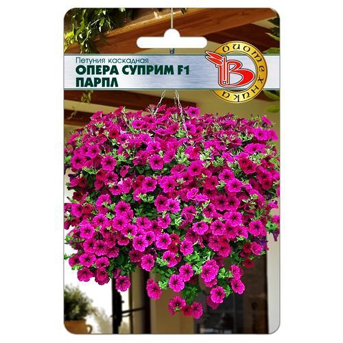 ������ ������ ������� ��������� ����� ������ F1 ����� ����������   ����