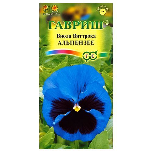 ������ ������ ����� �������� ��������� ������   ����