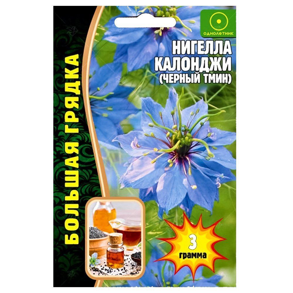 ������ ������ ������� �������� (������ ����) ������ ������   ����