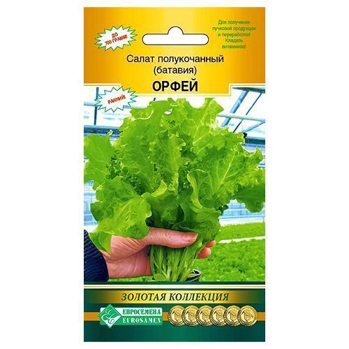 ������ ������ ����� (�������) ����� ����������   ����