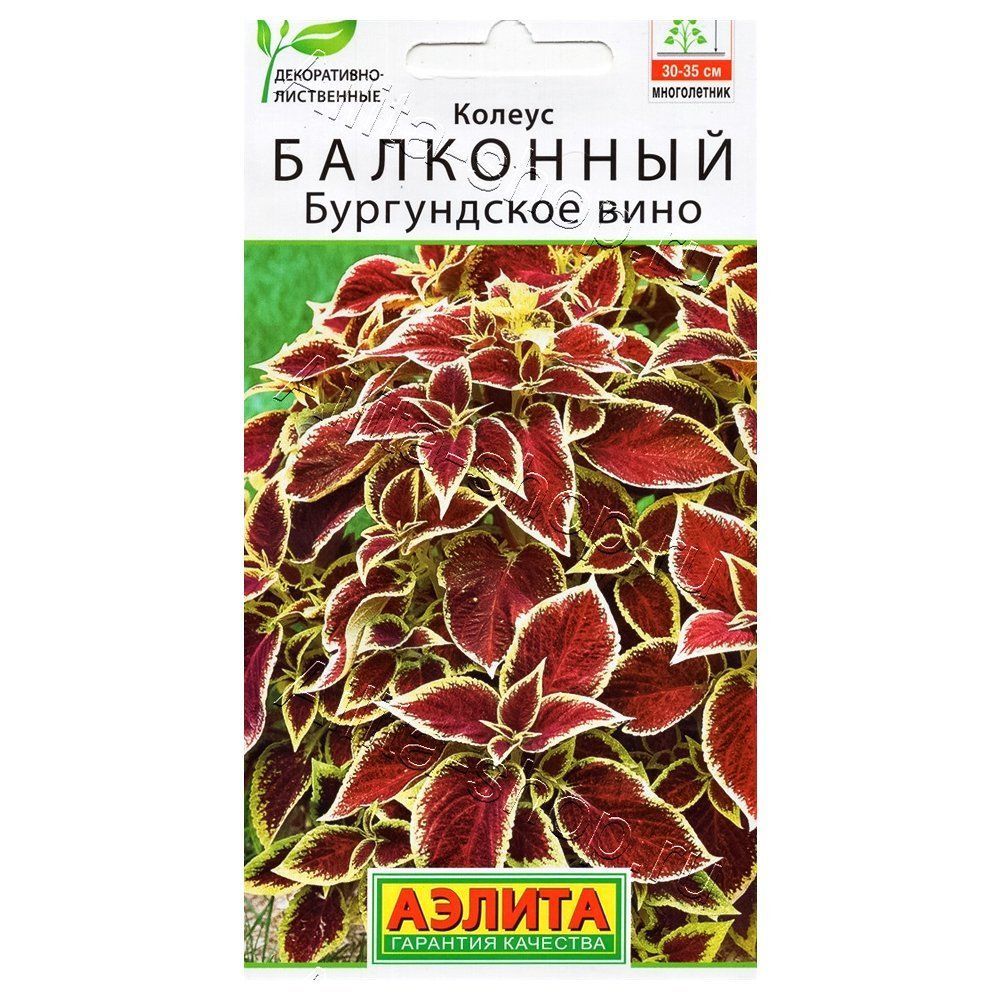 ������ ������ ������ ��������� ����������� ���� ������   ����