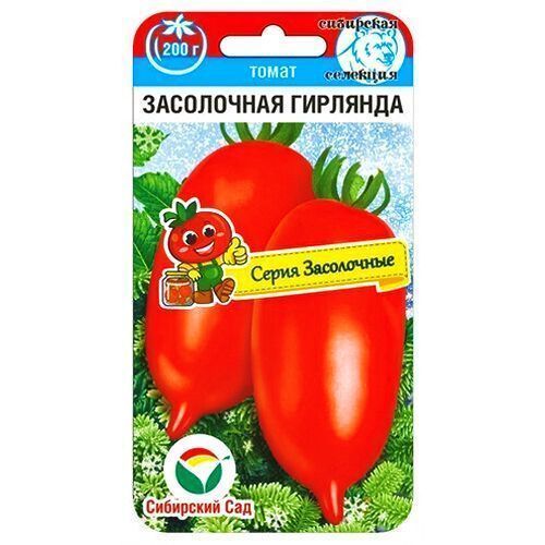 ������ ������ ����� ���������� �������� ��������� ���   ����