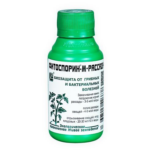 ������ ������ ����������-�. �������, �����, ����� 100 ��   ����