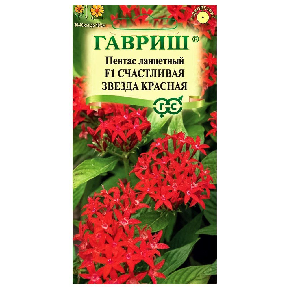 ������ ������ ������ ��������� ���������� ������ ������� F1 ������   ����